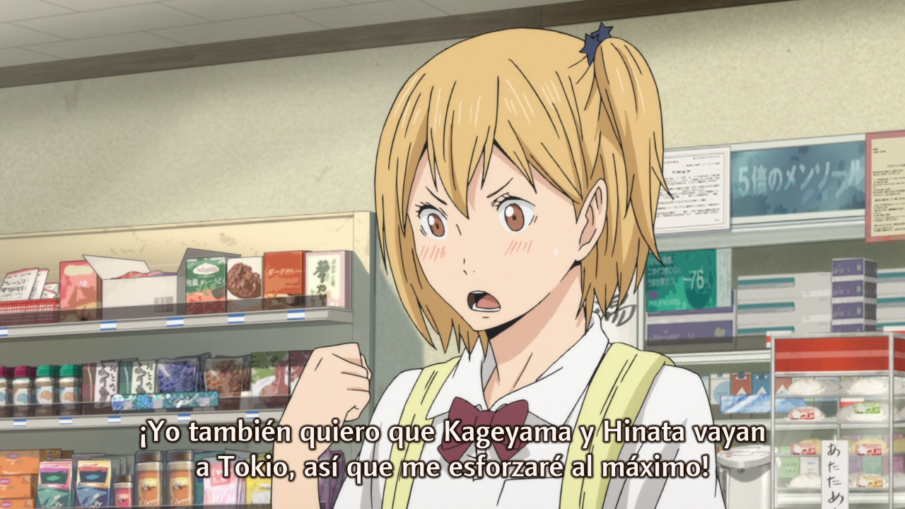 Haikyuu!!: vs "Akaten" (Ñyuum)